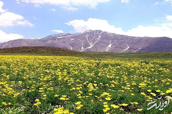 دشت لار